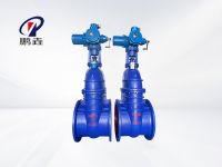 Z945T-10Q電動(dòng)閘閥