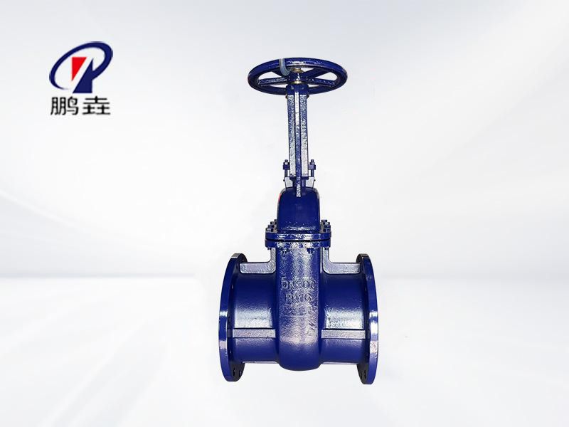 俄標(biāo)硬密封閘閥